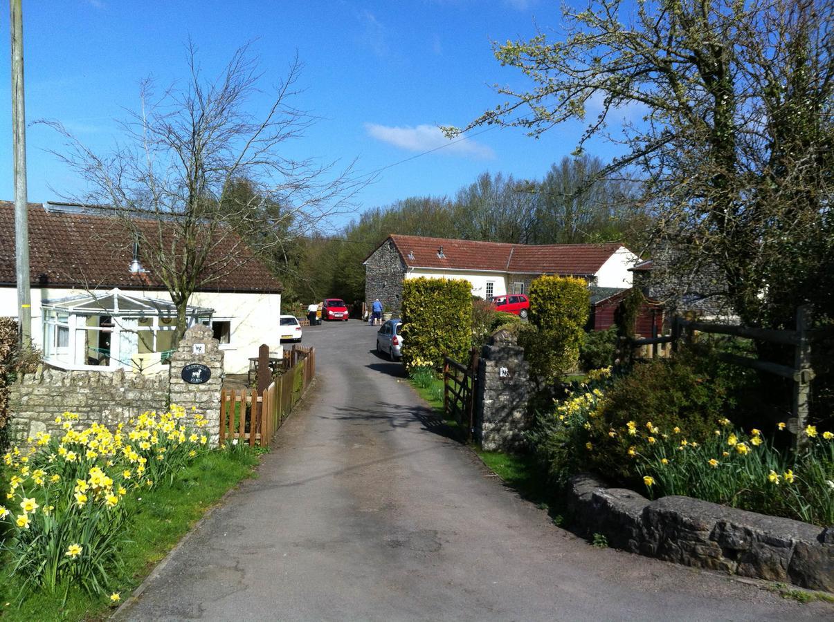 Greyfield Farm Cottages Farmborough المظهر الخارجي الصورة